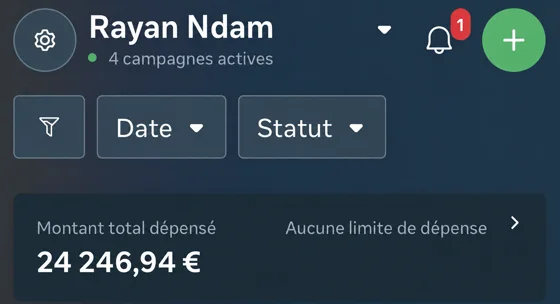 24 246,94 € dépensé — 4 campagnes actives Rayan Ndam