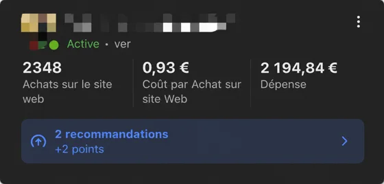 2348 achats · 0,93 € CPA · 2 194,84 € dépense